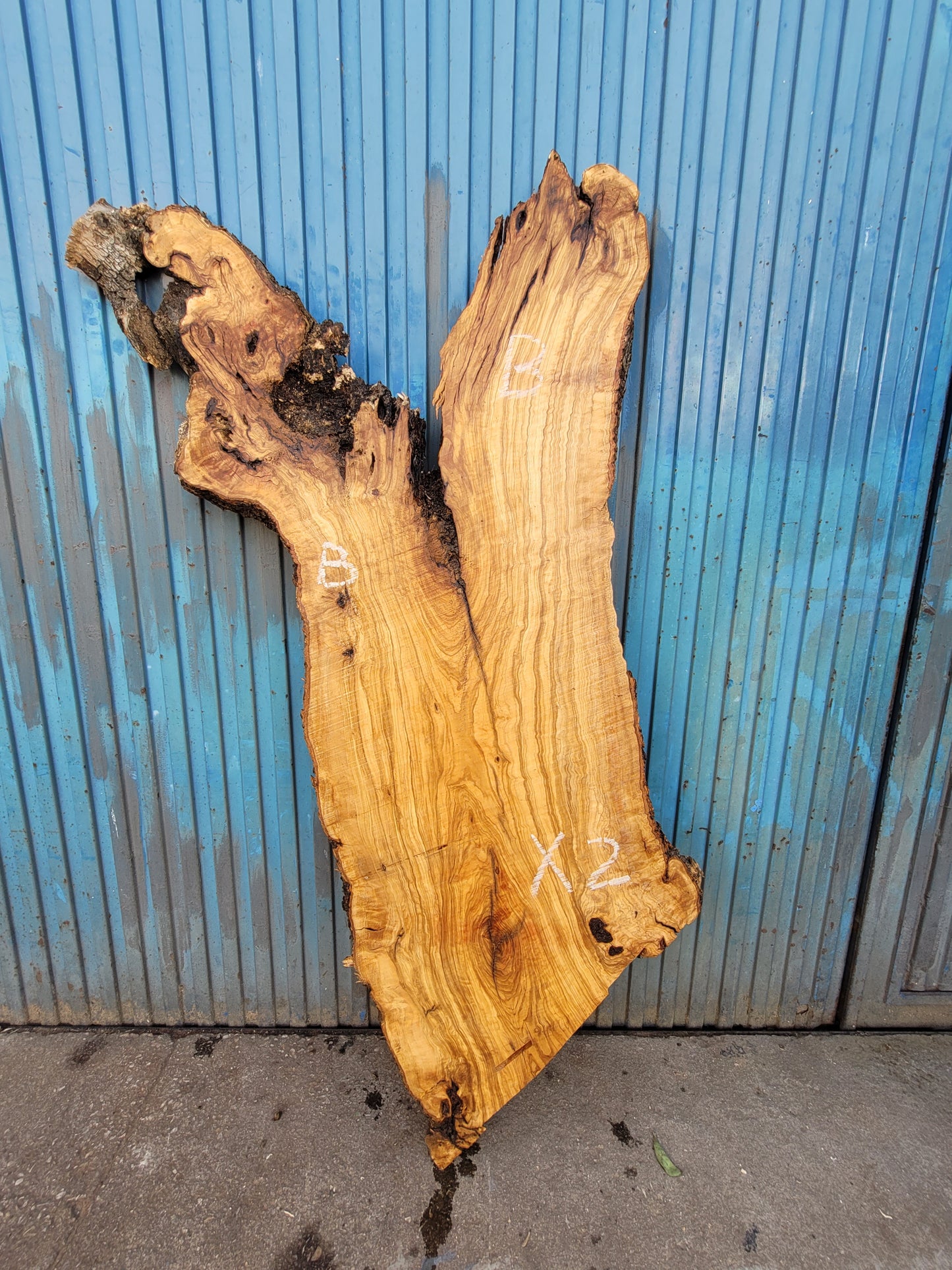 Tablón olivo Premium X2 150cm 45cm 6cm