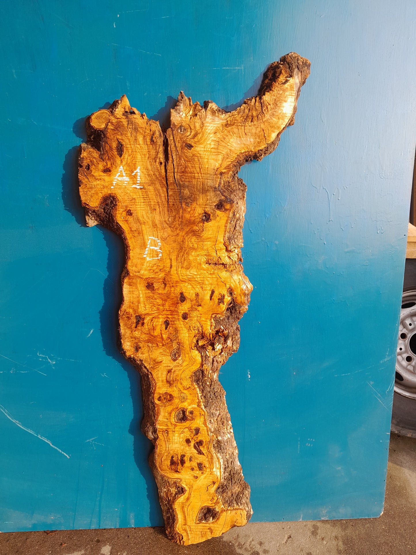 Tablón olivo A1 120cm 33cm 4 cm