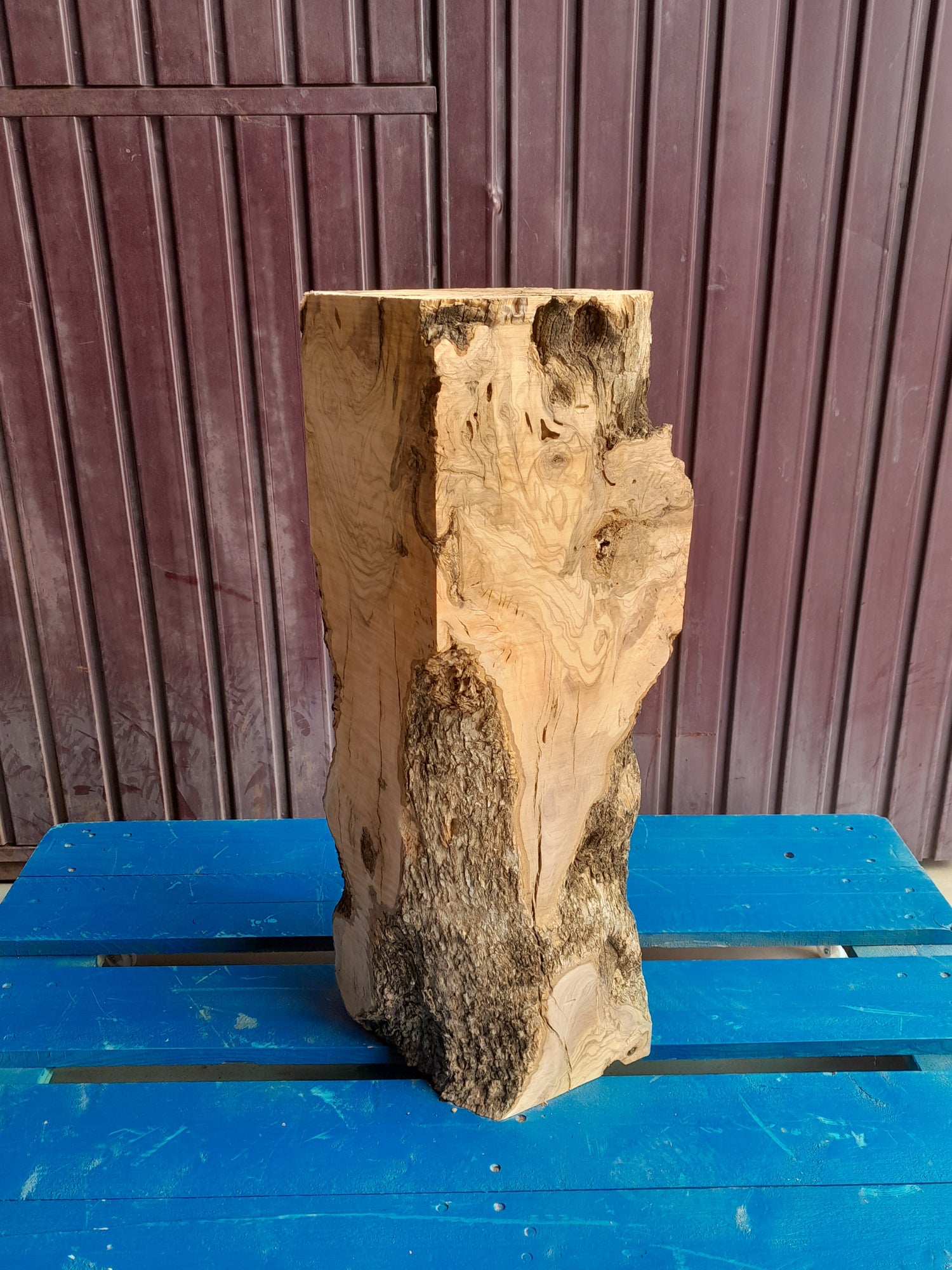 Patas de Olivo