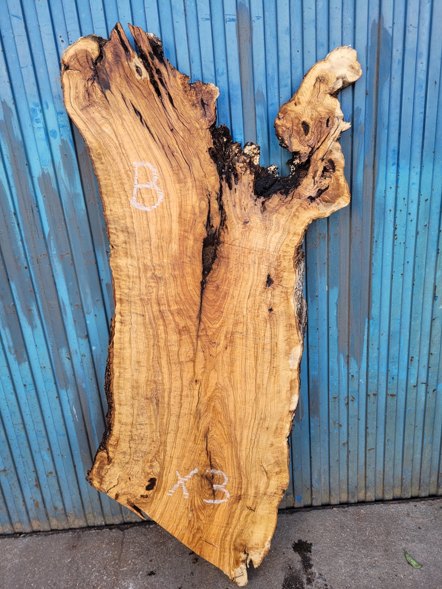 Tableros de madera de olivo Premium