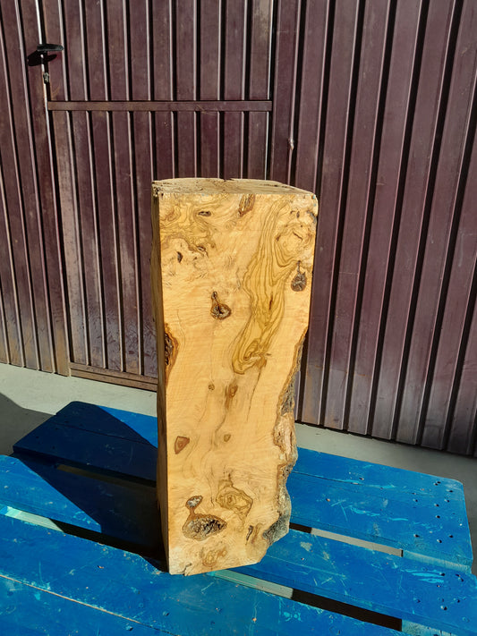 Pata de Olivo Rectangular 75cm 25x25cm