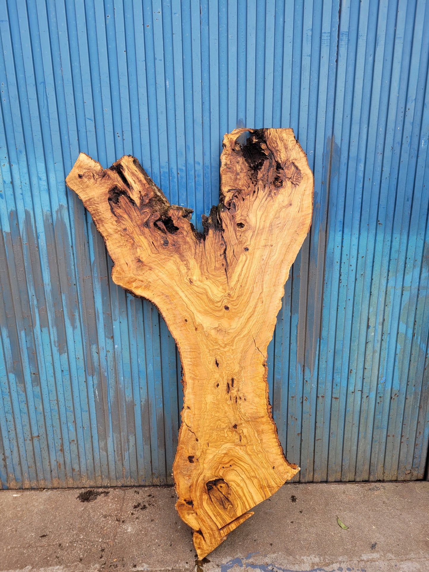 Tablón olivo Premium X1 150cm 75cm 6cm