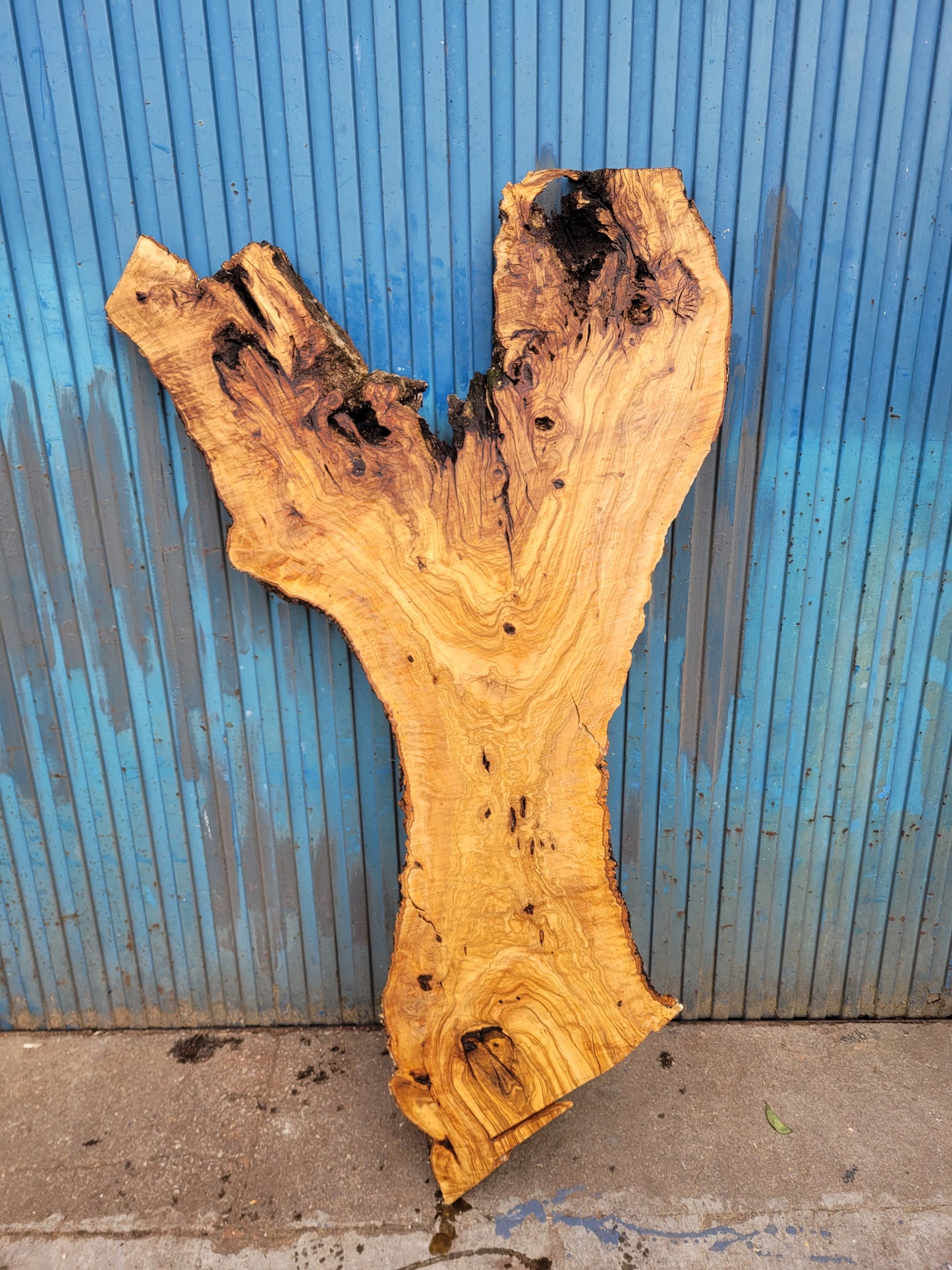 Tablón olivo Premium X1 150cm 75cm 6cm