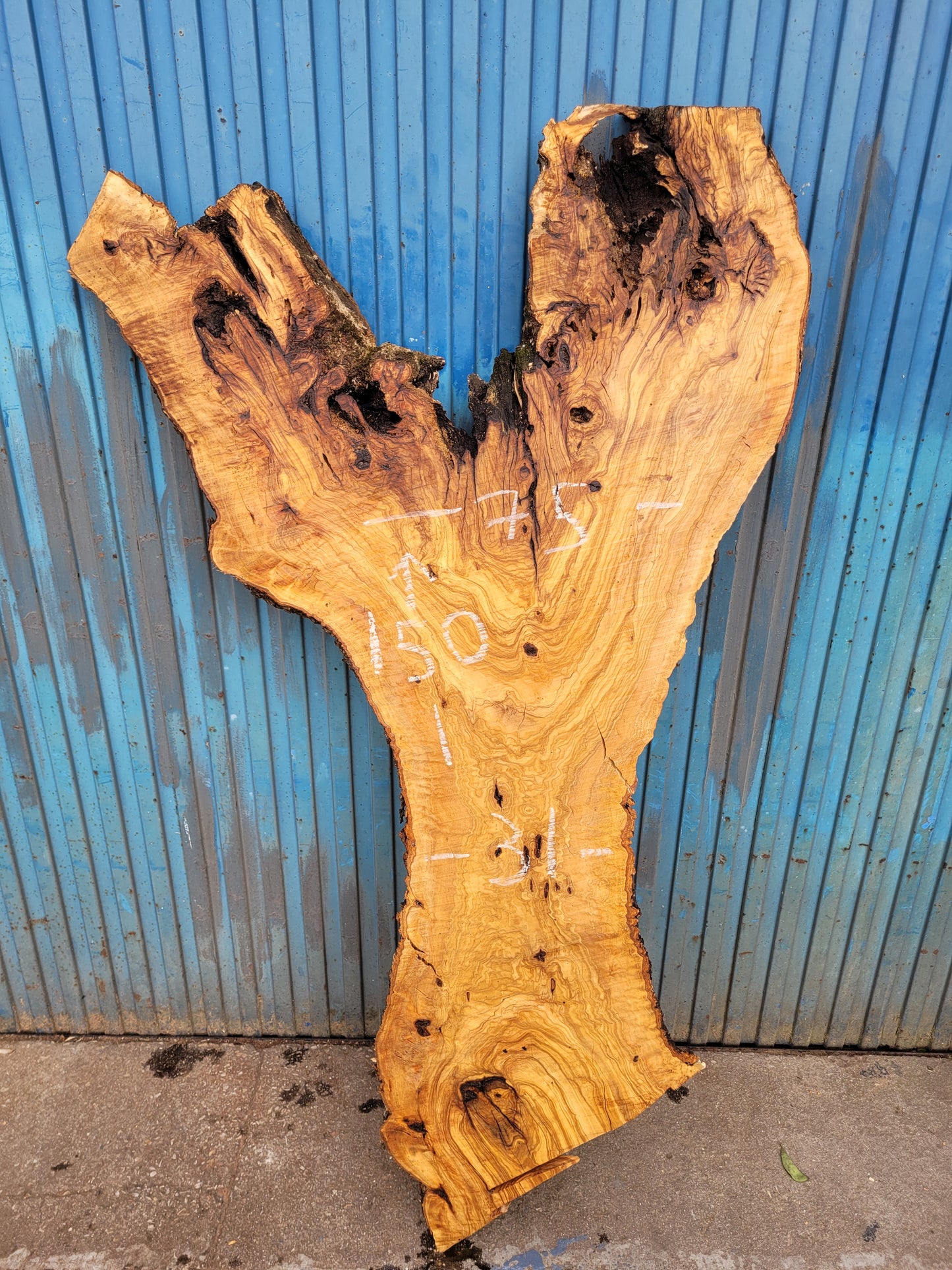 Tablón olivo Premium X1 150cm 75cm 6cm