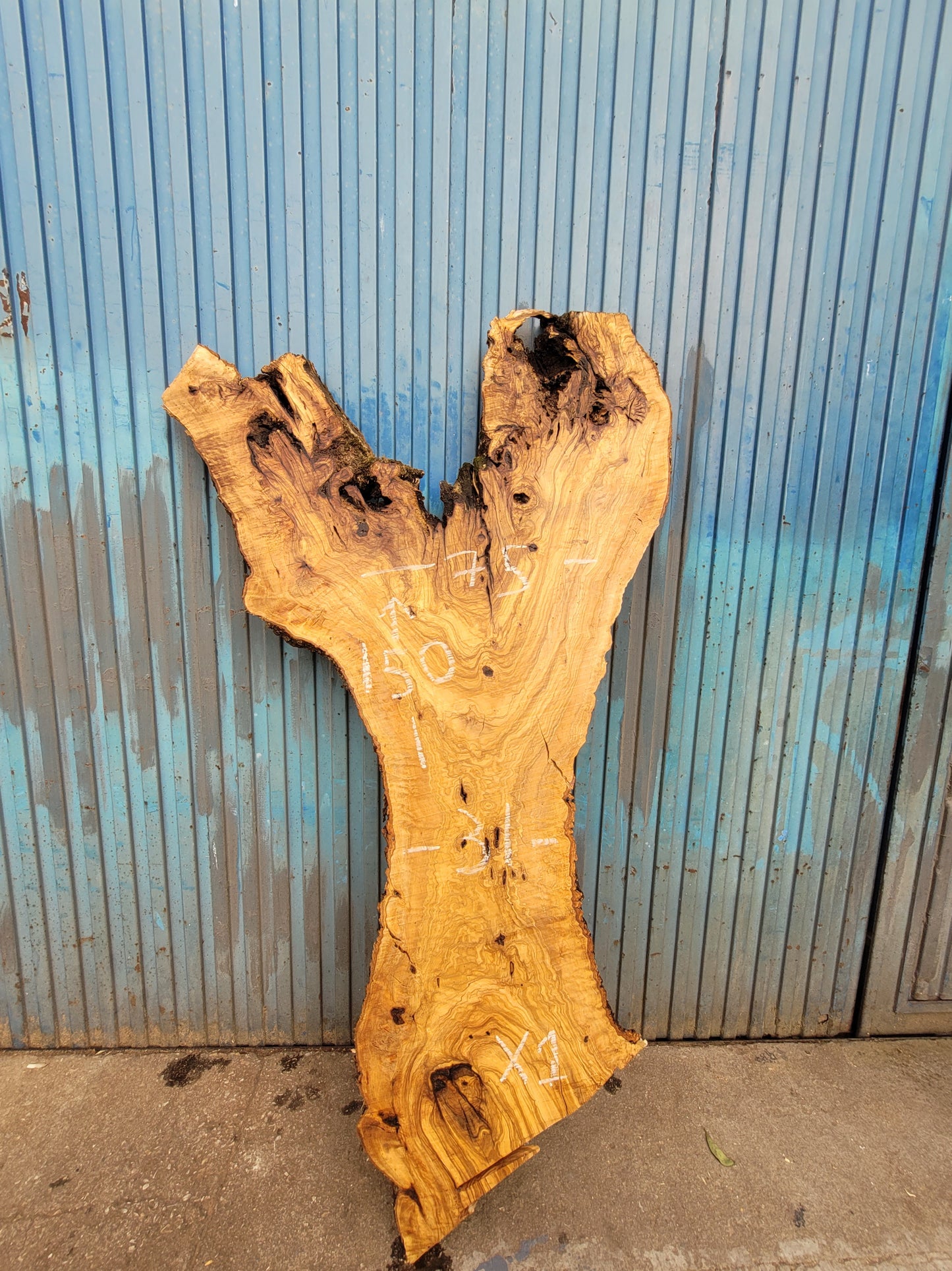 Tablón olivo Premium X1 150cm 75cm 6cm