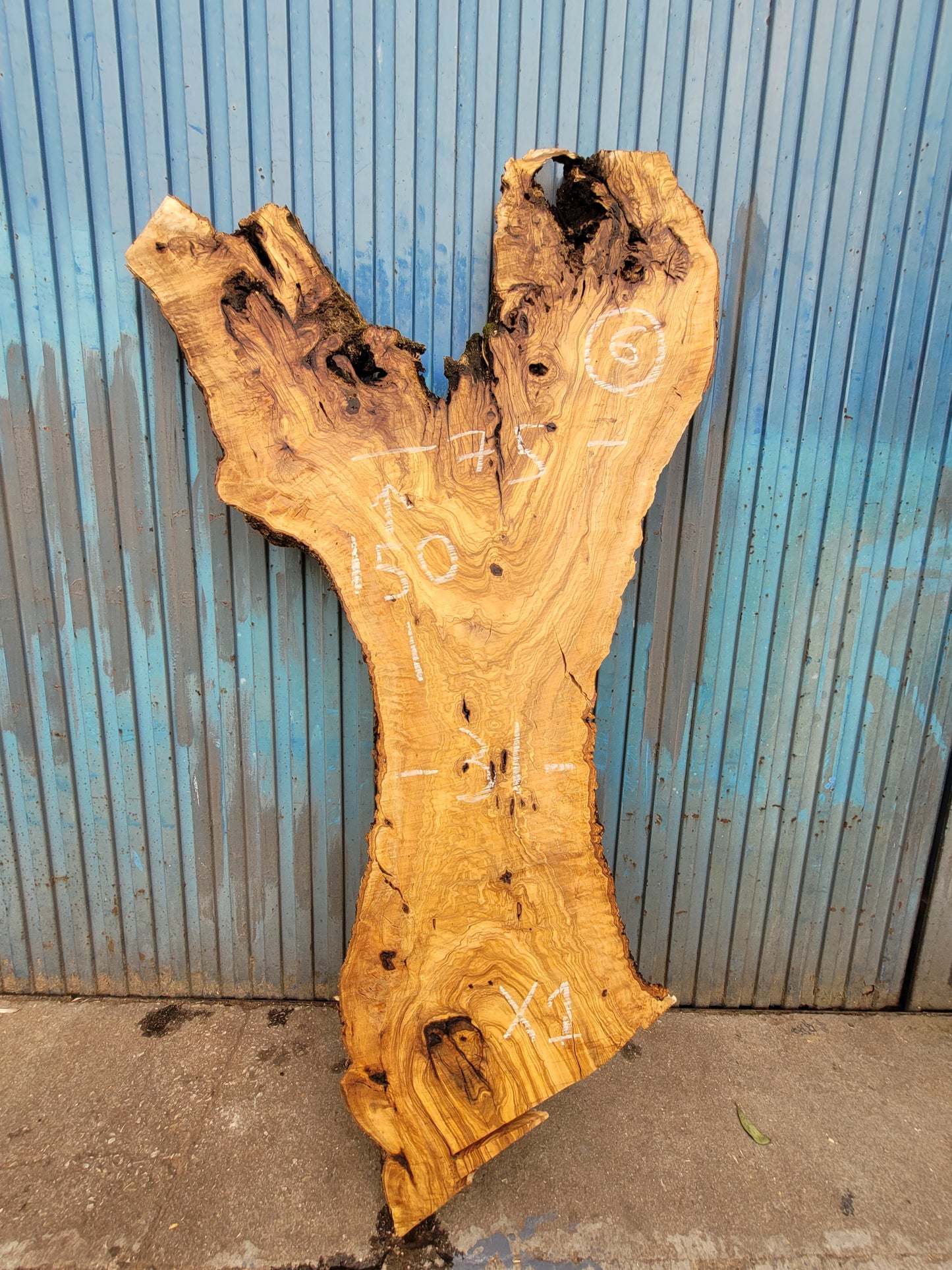 Tablón olivo Premium X1 150cm 75cm 6cm