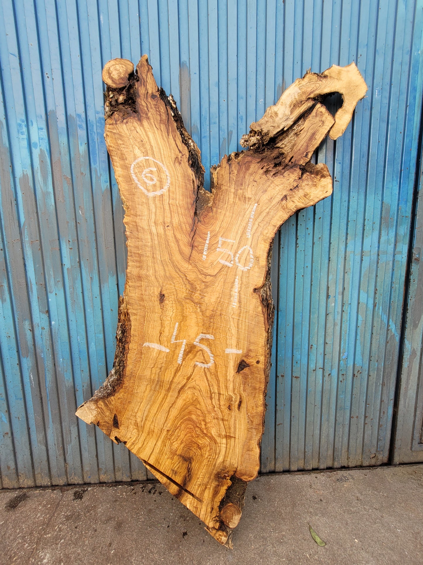 Tablón olivo Premium X2  150cm 45cm 6cm