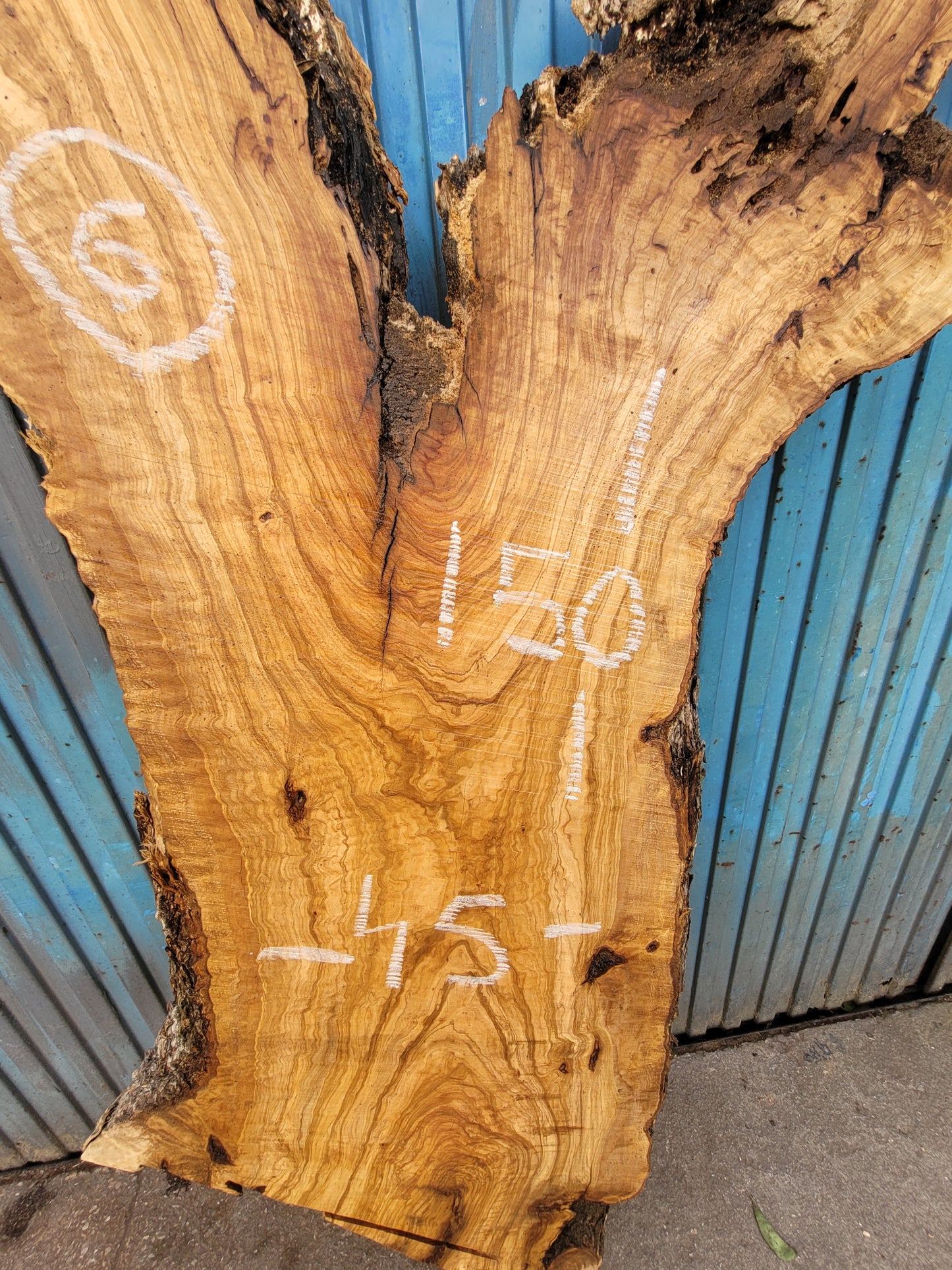 Tablón olivo Premium X2  150cm 45cm 6cm