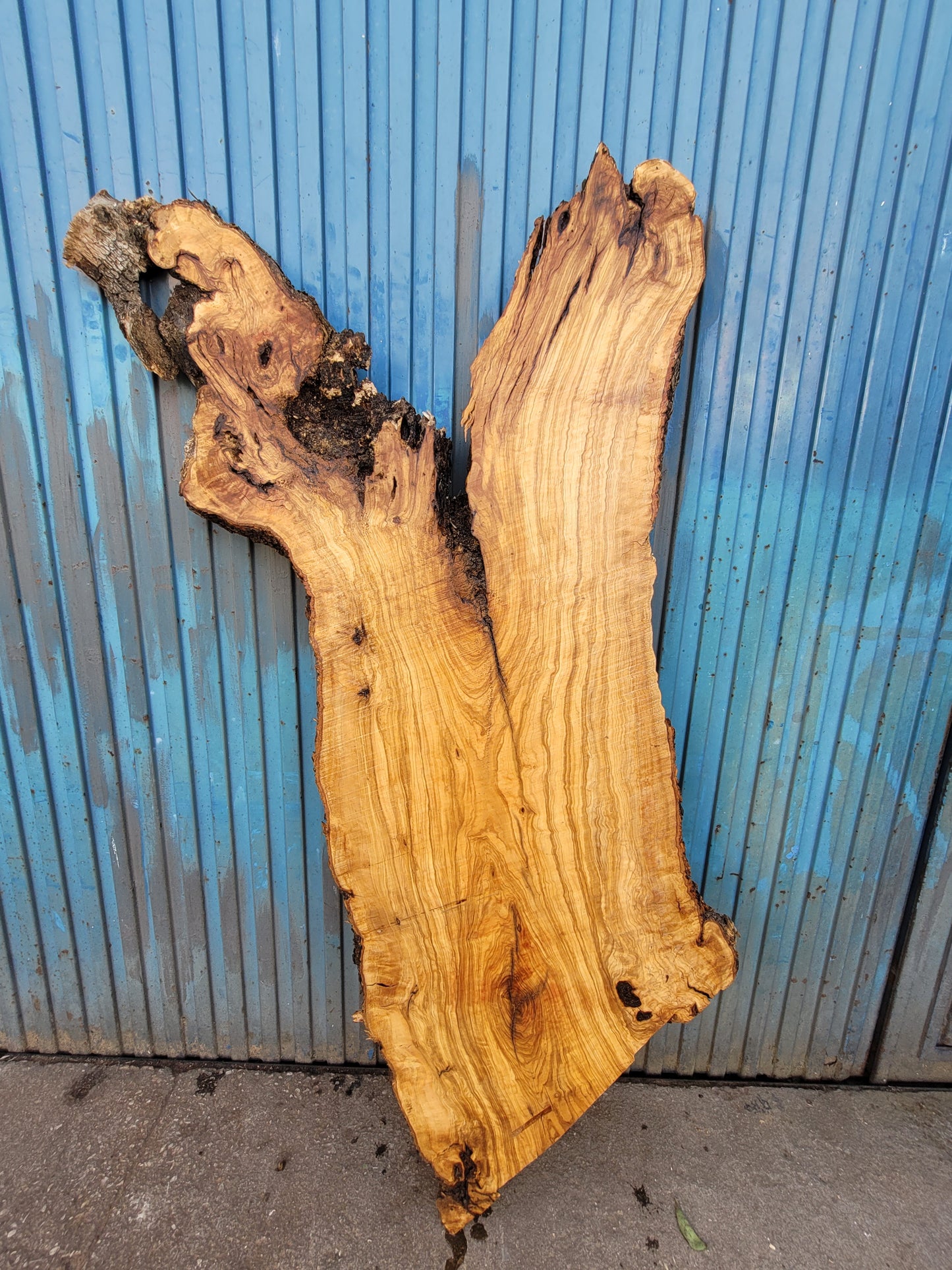 Tablón olivo Premium X2  150cm 45cm 6cm