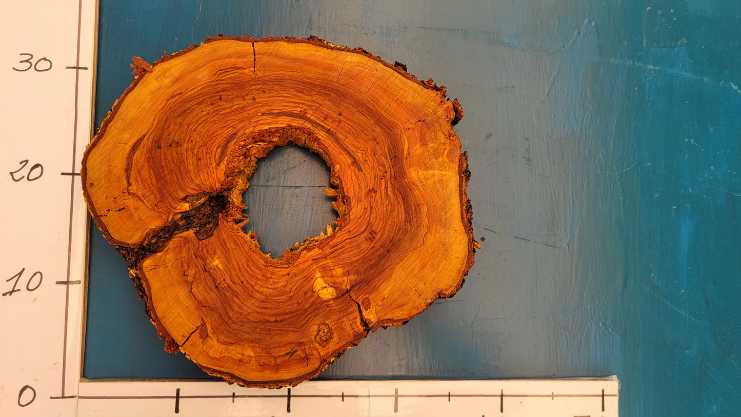 Rodaja de olivo H9 32cm 37cm 3,5cm