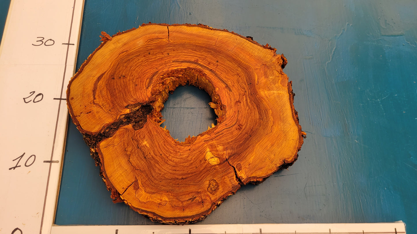 Rodaja de olivo H9 32cm 37cm 3,5cm