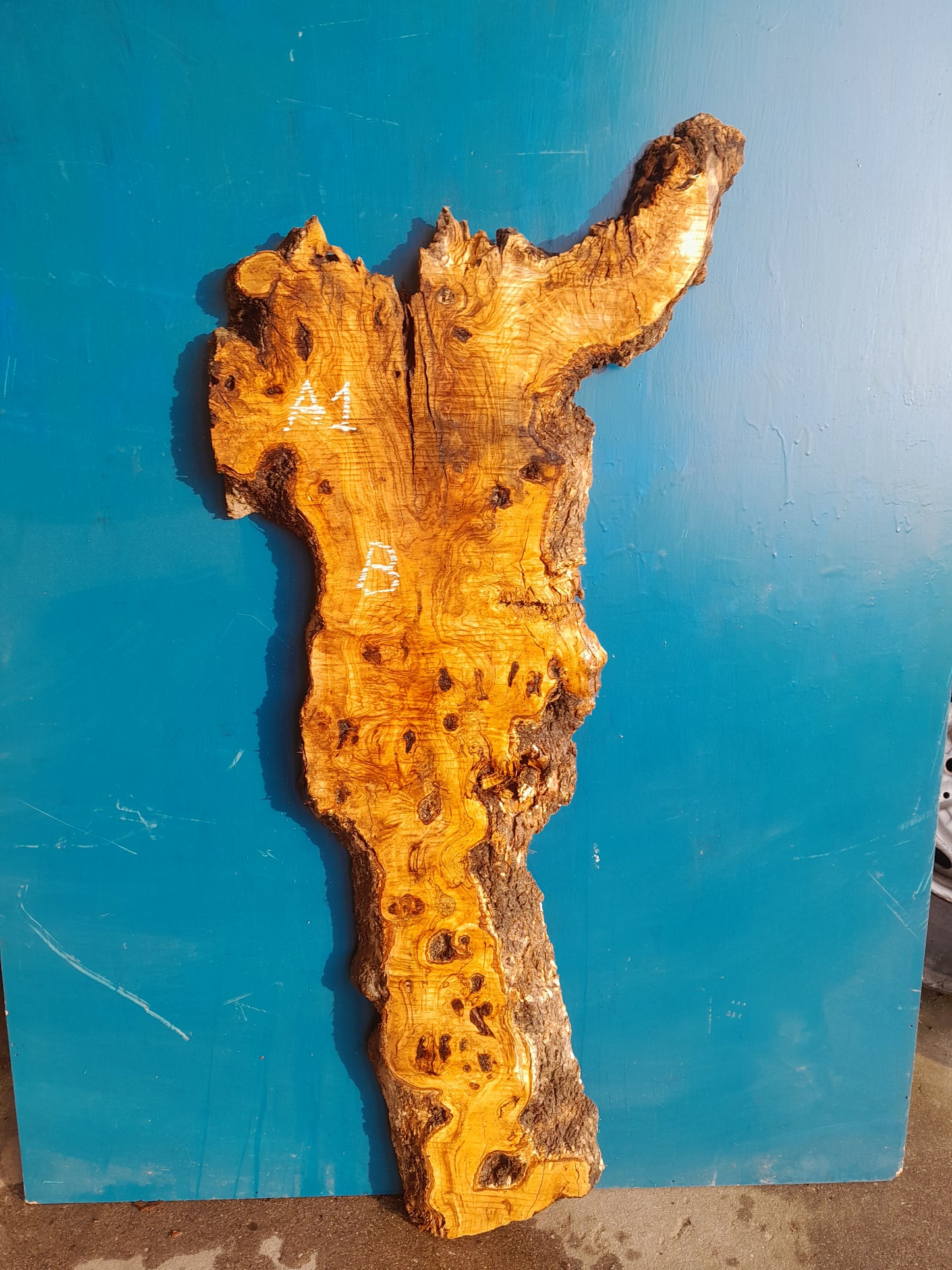 Tablón olivo A1 120cm 33cm 4 cm