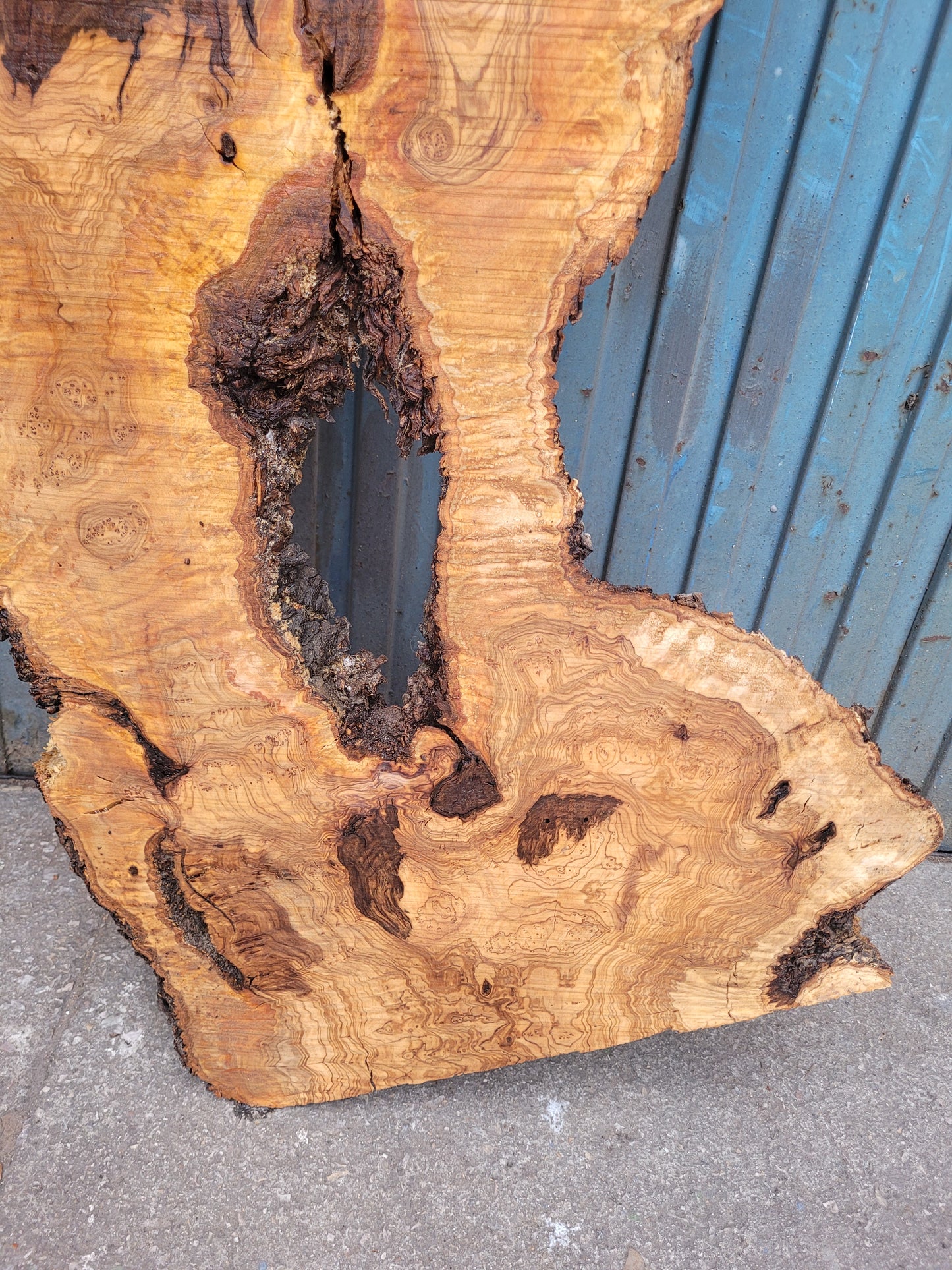 Tablón olivo A6 160cm 48cm 4 cm