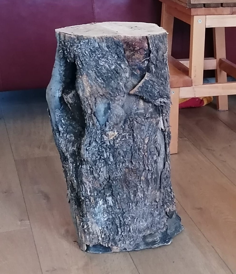 Pata natural 40cm 12/20cm de olivo