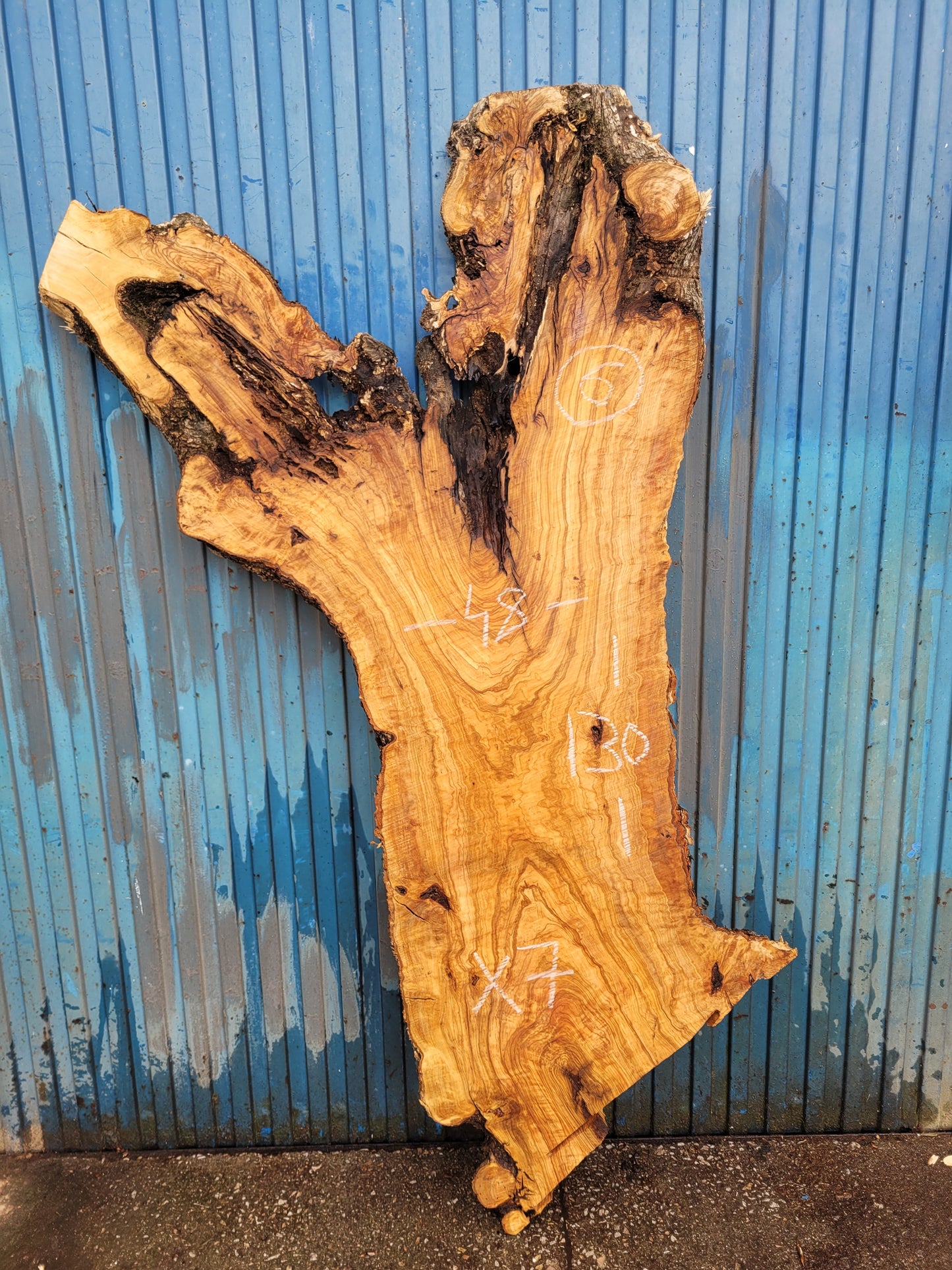 Tablón olivo Premium X7 180cm 49cm 6cm