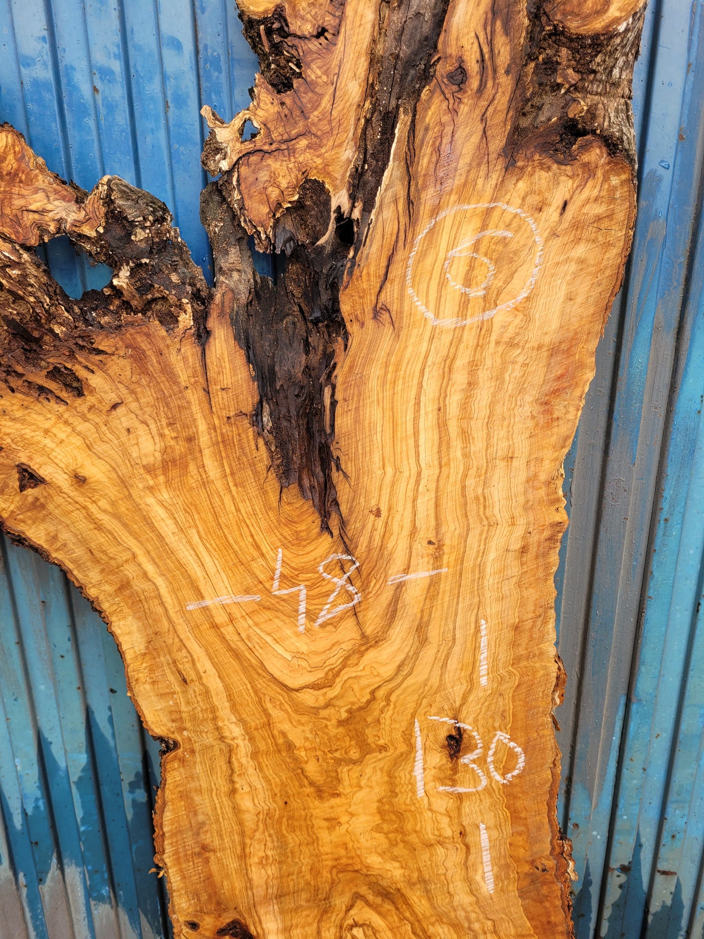 Tablón olivo Premium X7 180cm 49cm 6cm