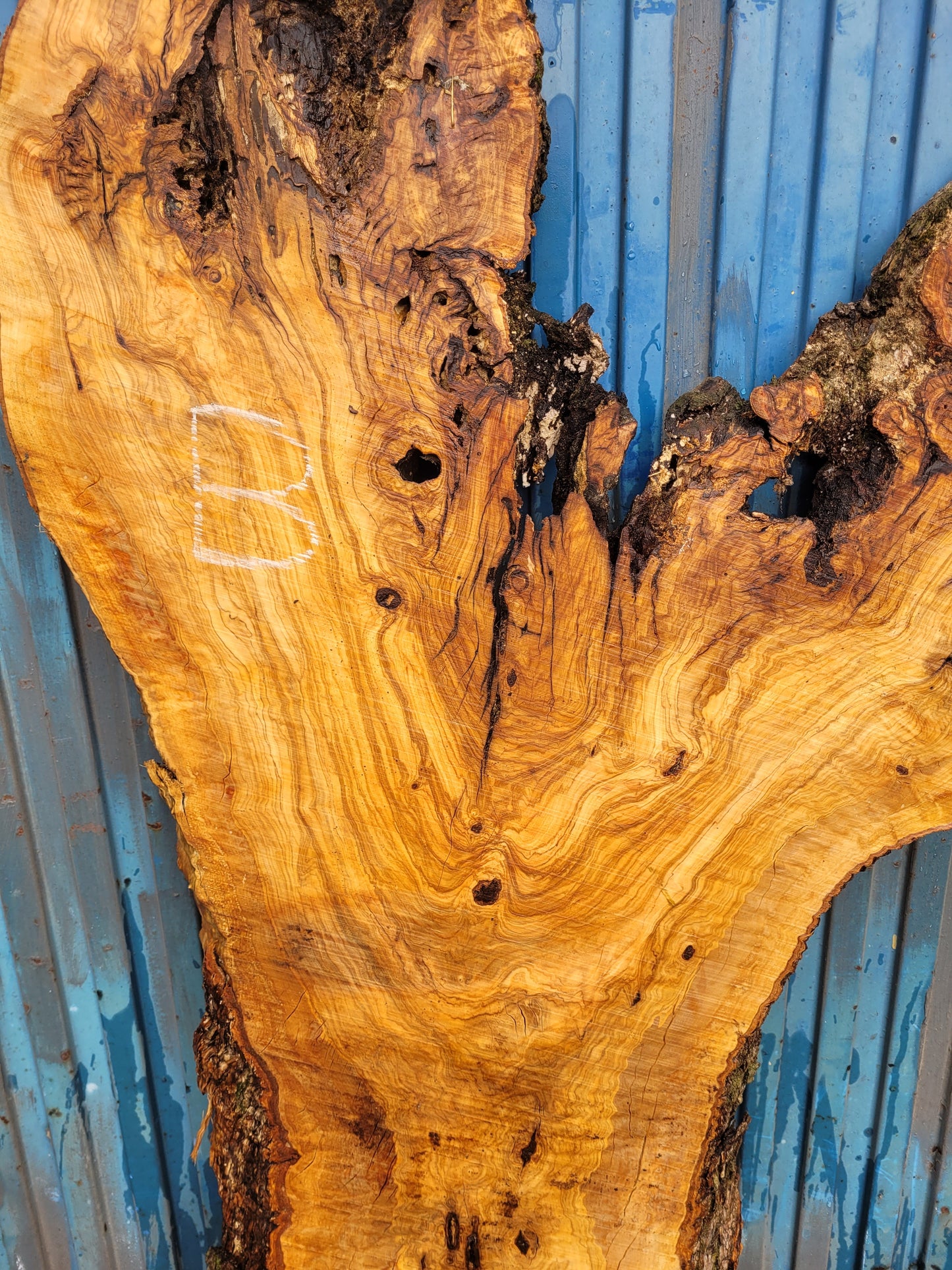 Tablón olivo Premium X7 180cm 49cm 6cm